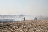 2009 - Grass Fire - 7